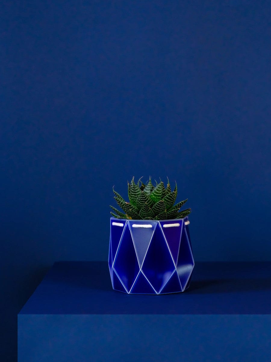 11cm Self Watering Plant Pot Blue