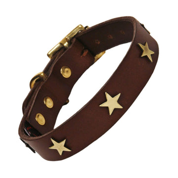 Chocolate Brass Stars Dog Collar