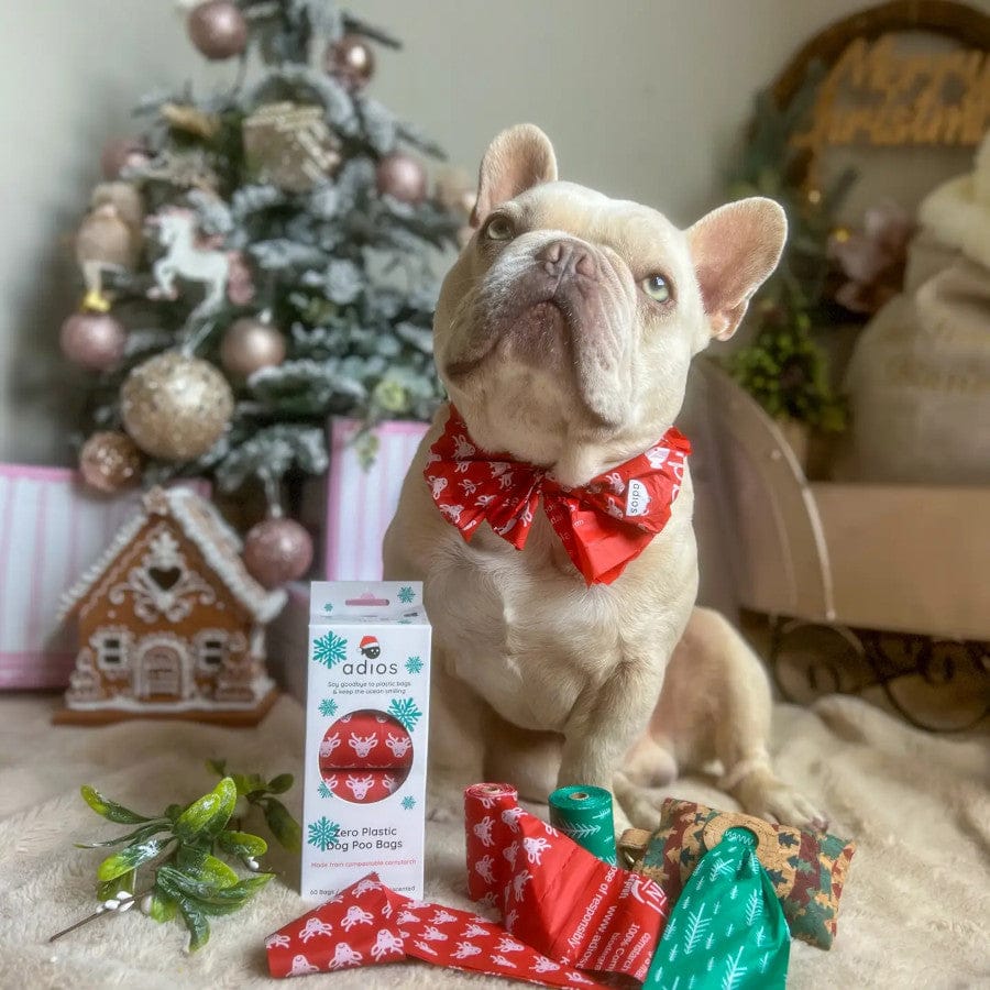 Christmas Compostable Poo Bags