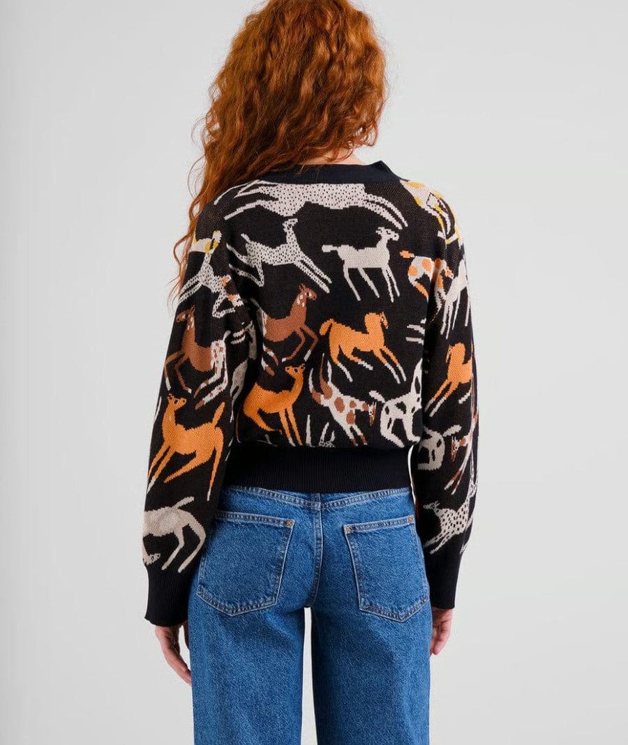 Kanan Cardigan Horses