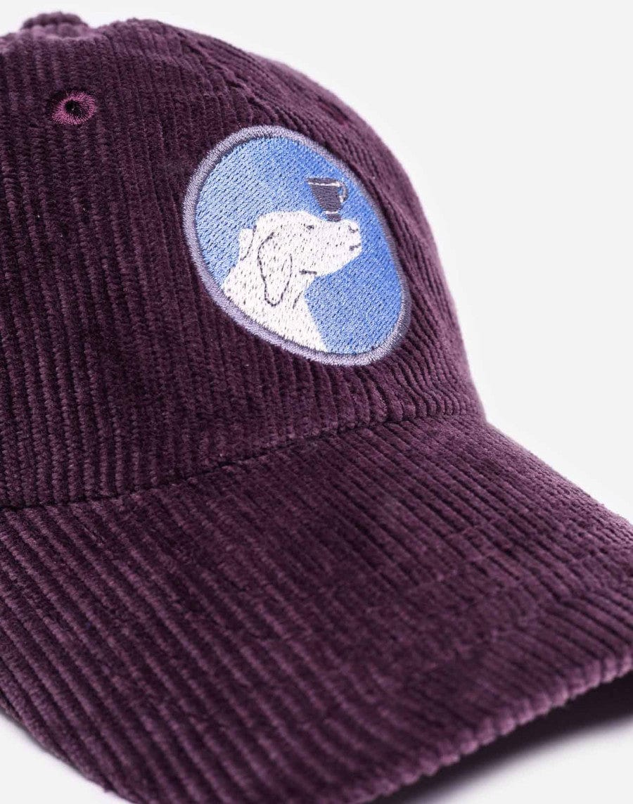 Six Panel Cap Dog Cup