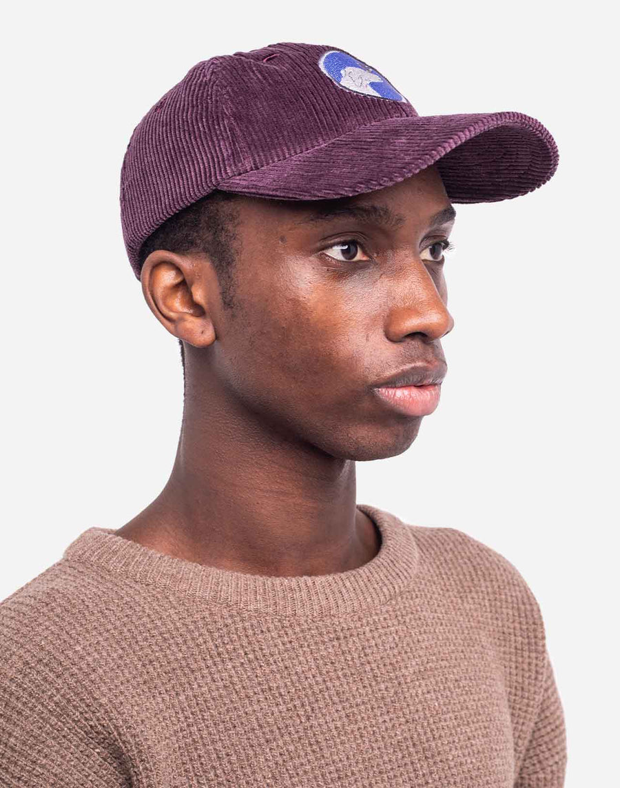 Six Panel Cap Dog Cup