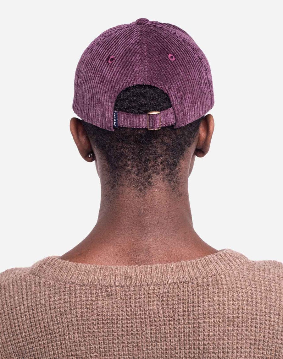 Six Panel Cap Dog Cup