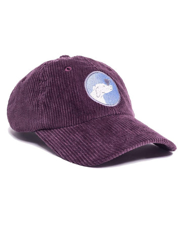 Six Panel Cap Dog Cup