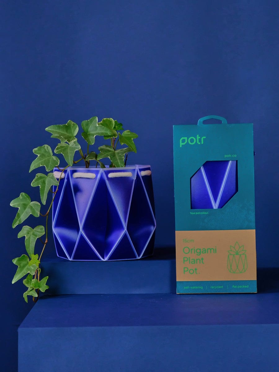 15cm Self Watering Plant Pot Blue