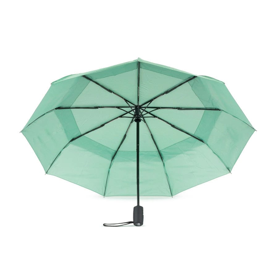 Waterloo Umbrella Matcha