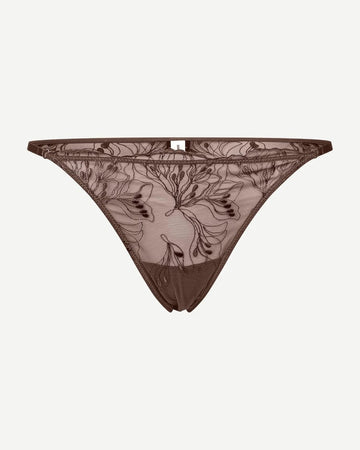 Saaudrey Brief French Roast