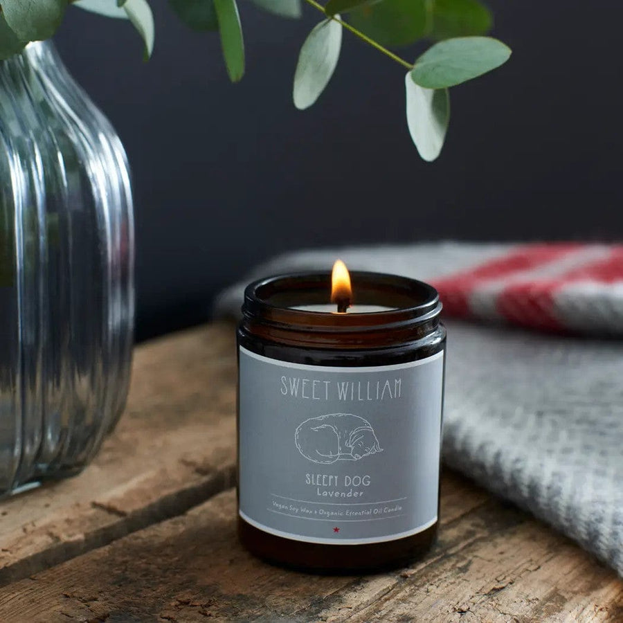 Sleepy Dog Candle