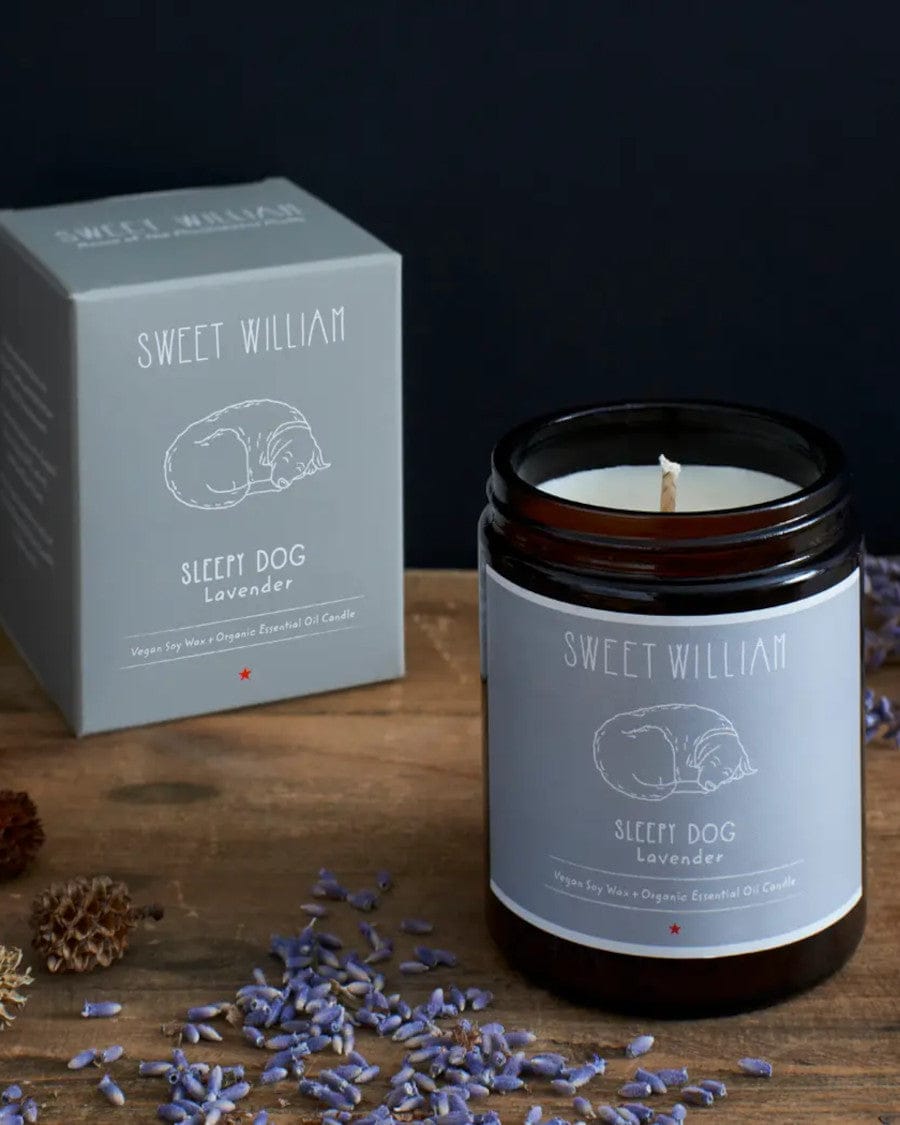 Sleepy Dog Candle