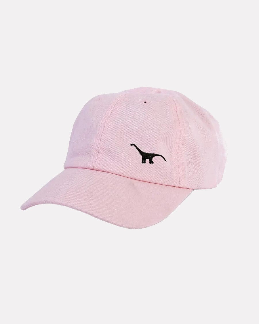 Embroidered Dinosaur Dad Cap (more colours available)