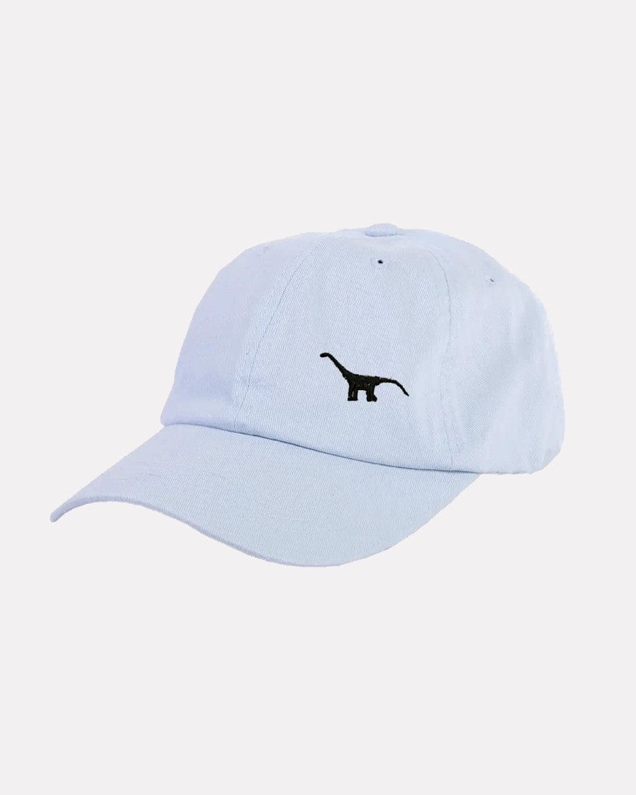 Embroidered Dinosaur Dad Cap (more colours available)