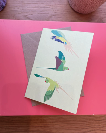 69b Parakeets Card