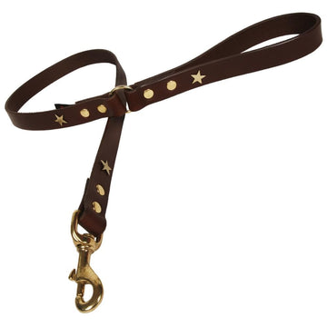 Chocolate Brass Stars Studded Dog Lead